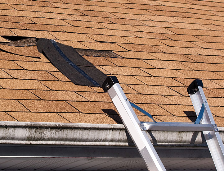 Roofing Maintenance and Cleaning